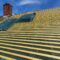 Roof Repairs